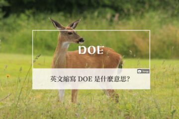 DOE 是什麼？英文縮寫 DOE 的中文意思及例句